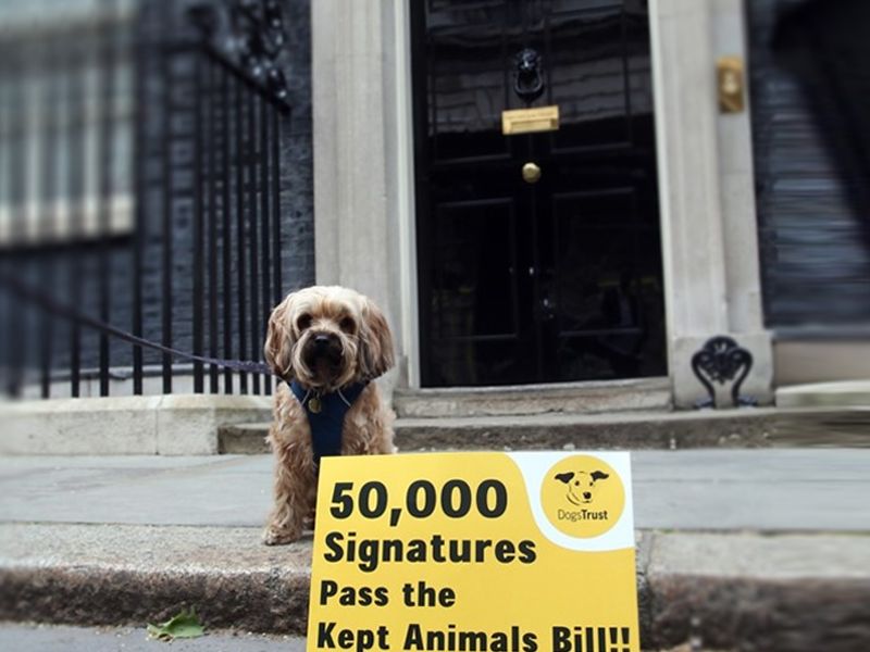 50000 reached for the Kept Animals Bill