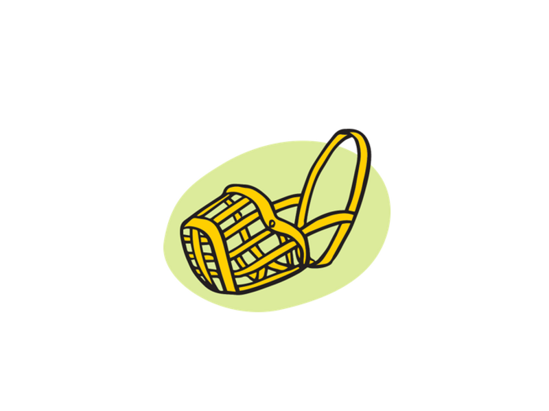 Illustration of a yellow muzzle