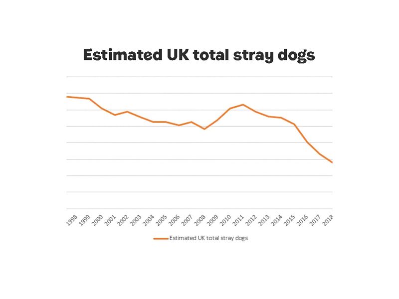Graph showing number of total UK stray dogs 
