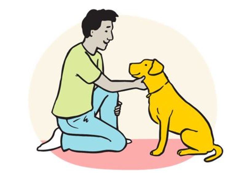 cartoon owner holding dog head and stroking top of head