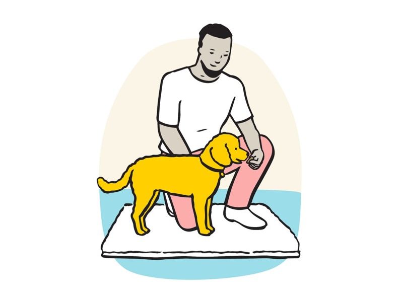 Illustration of owner giving dog treat on mat.