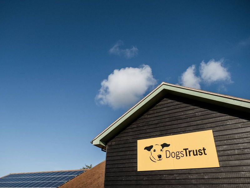 Dogs Trust rehoming centre