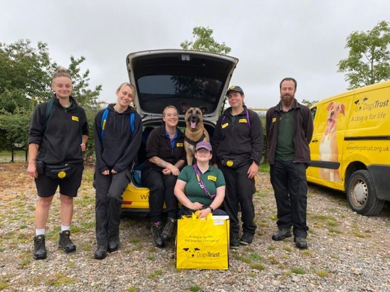 Dogs Trust staff send off Wilf the Crossbreed to his forever home