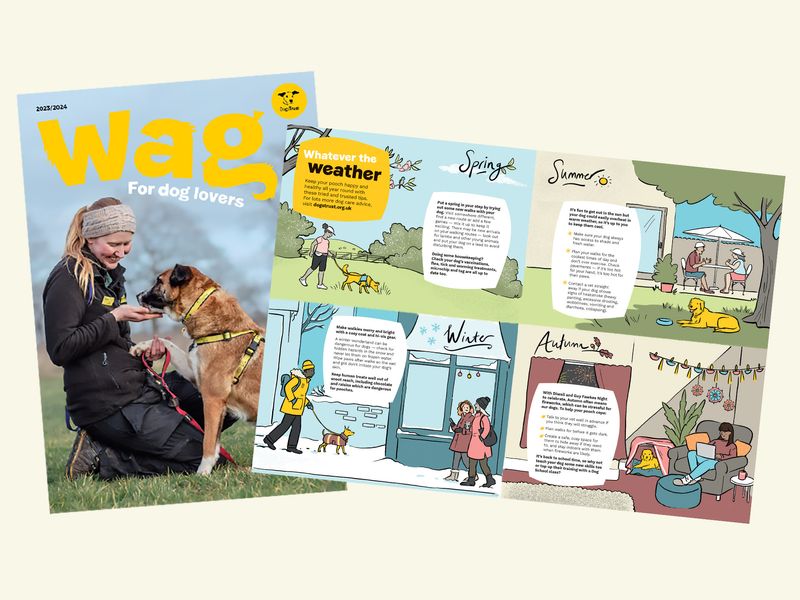 Wag 2023 cover and double page spread