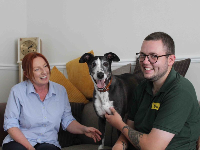 Badger the Lurcher in his new home on adoption day