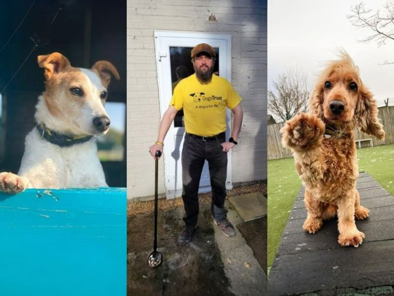 Ashley Paddon with two dogs