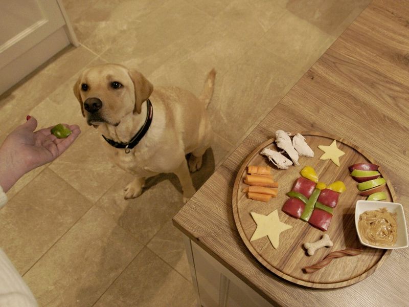 A golden retriever dog looking up at a treat in someones hand in a kitchen. The bark-cuterie board is in the corner on a table.
