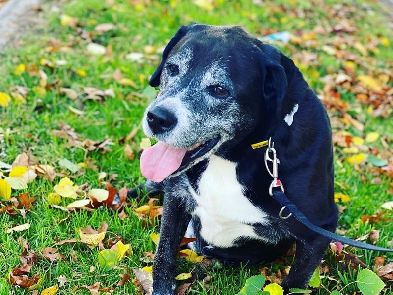 In memory of Oscar
