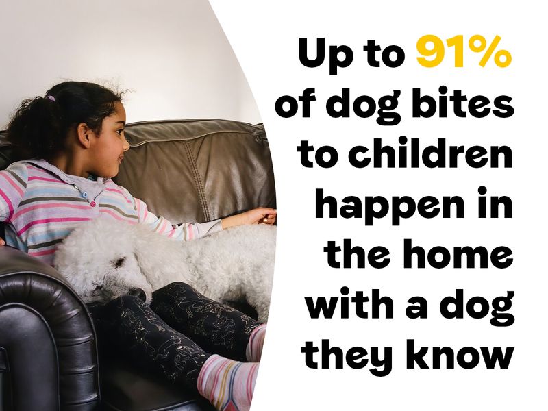 Up to 91% dog bites to children happen in the home with a dog they know.