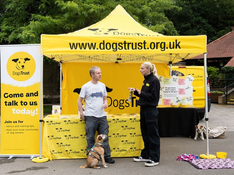 Community events volunteer standing with gentleman and his dog, in front of a Dogs Trust bright yellow popup tent.