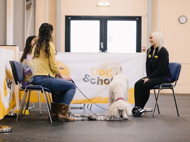 dog school coach sitting with family in dog school class.