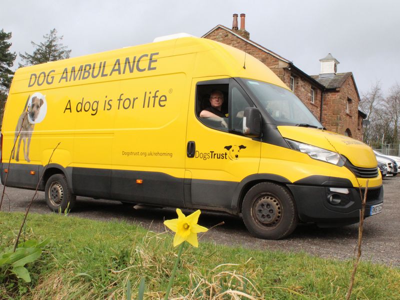 Dogs Trust ambulance parked outside rehoming centre