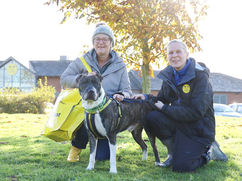 Reg the Crossbreed with his adopters