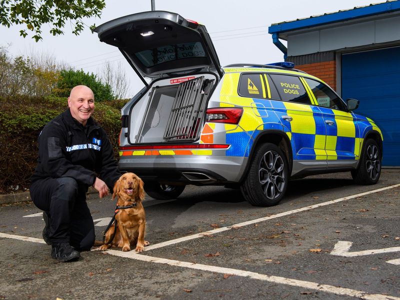 Police officer photographed in front on police k9 unit car, with a brownish orange spaniel cross dog. 
