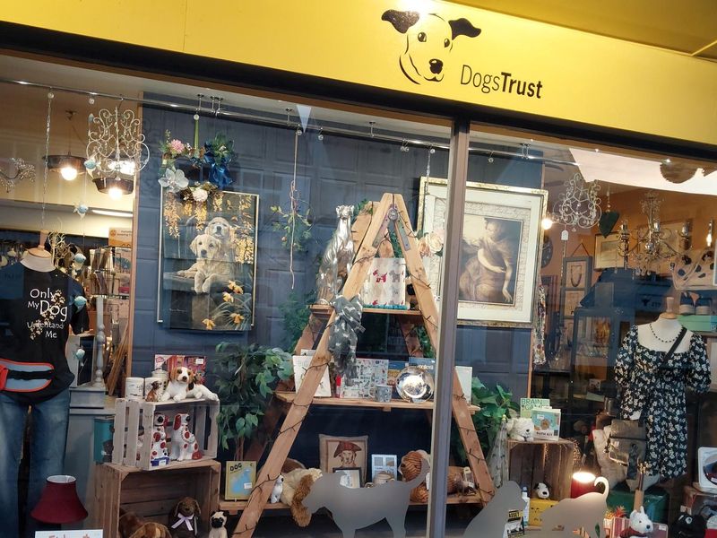 Saffron Walden charity shop window
