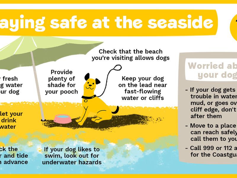 Staying safe in hot weather at the seaside infographic. Carry fresh water, check the beach your visiting allows dogs, provide plenty of shade, keep them on a lead in fast-flowing water and look out for hazards. If you're worried about your dog move to a place of safety and call 999 or 112 for coastguard.