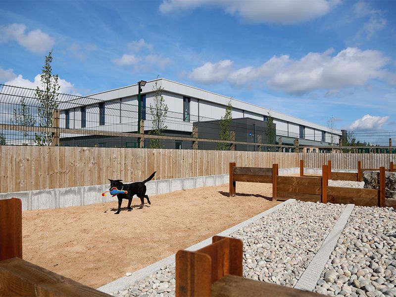 Cardiff Rehoming Centre exterior with play area and agility area with a black dog. 
