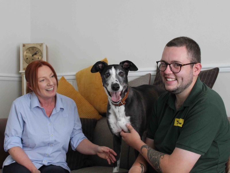 Photo of a lady called Jacqui and her new rescue dog Badger a black and white Lurcher. They are sitting on a brown leather sofa along with Rehoming staff member Jacob.