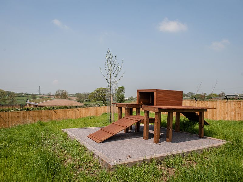 Loughborough Rehoming Centre outside play area/agility area in some wooden fencing with some grass.