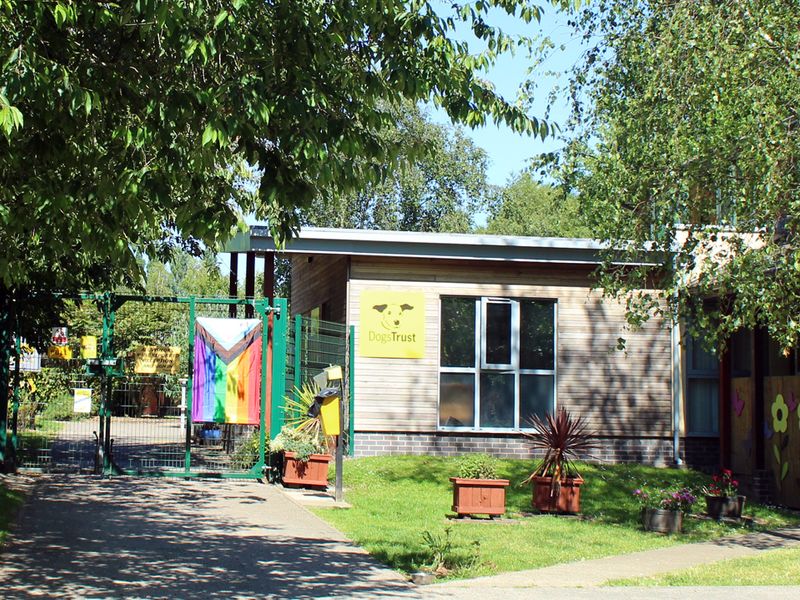Meryside Rehoming Centre exterior reception entrance of building with rainbow flag and green fence.