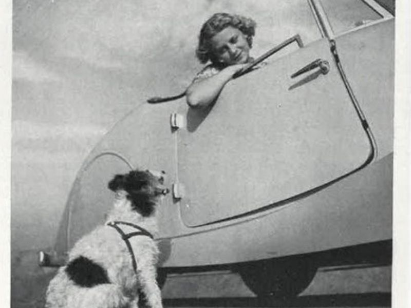 1937 black and white photo of lady in a car looking at Terrier type dog at the side of the road.