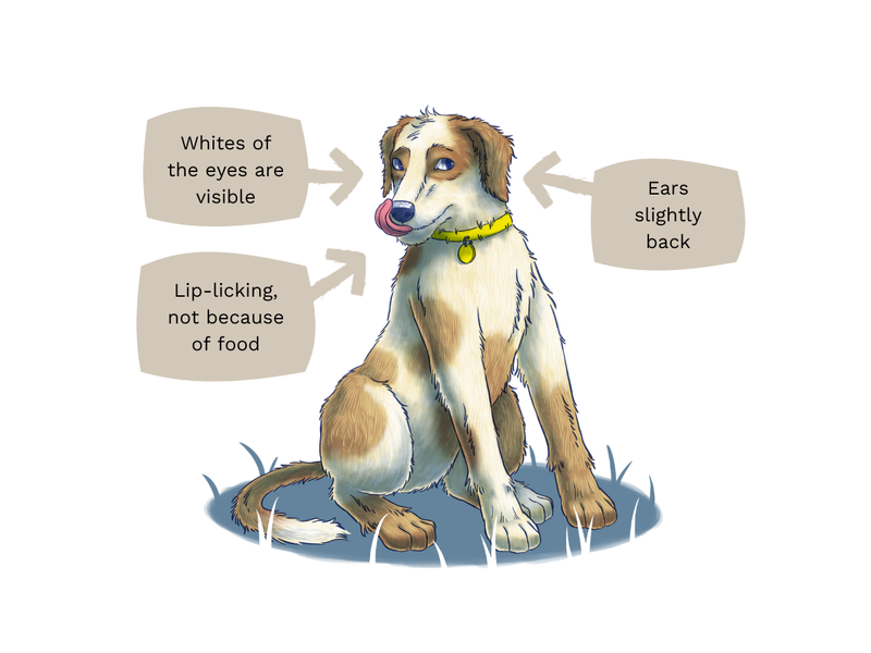 Illustration of a dog sitting down, slightly crouched, leaning away and licking their lips.