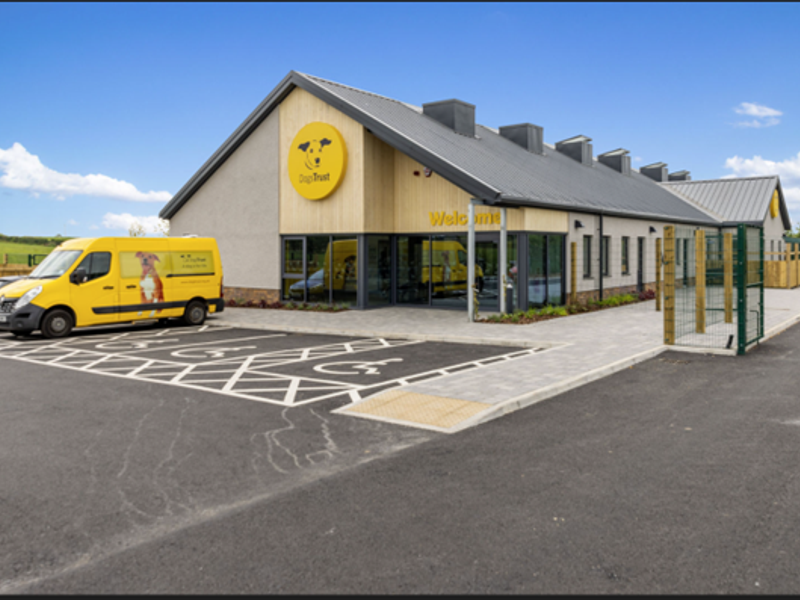 Top pet rehoming centres Top Sale Black Friday