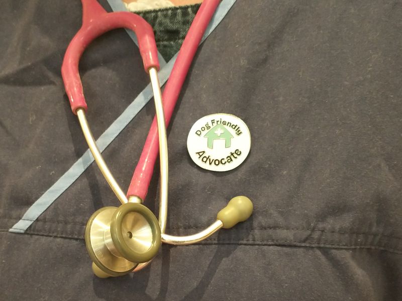 A vet wearing navy scrubs with a red stethoscope and a dog friendly advocate badge on