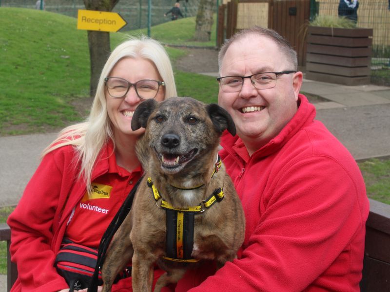John and Alison DT volunteers wearing red jackets sitting and smiling with sponsor dog brindle Barney on their lap