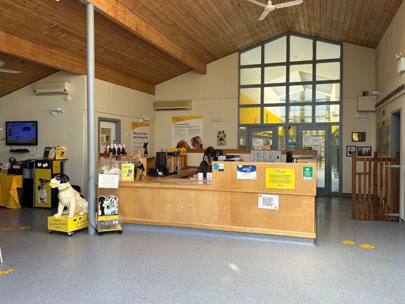 Inside Snetterton's rehoming centre reception area with welcome desk