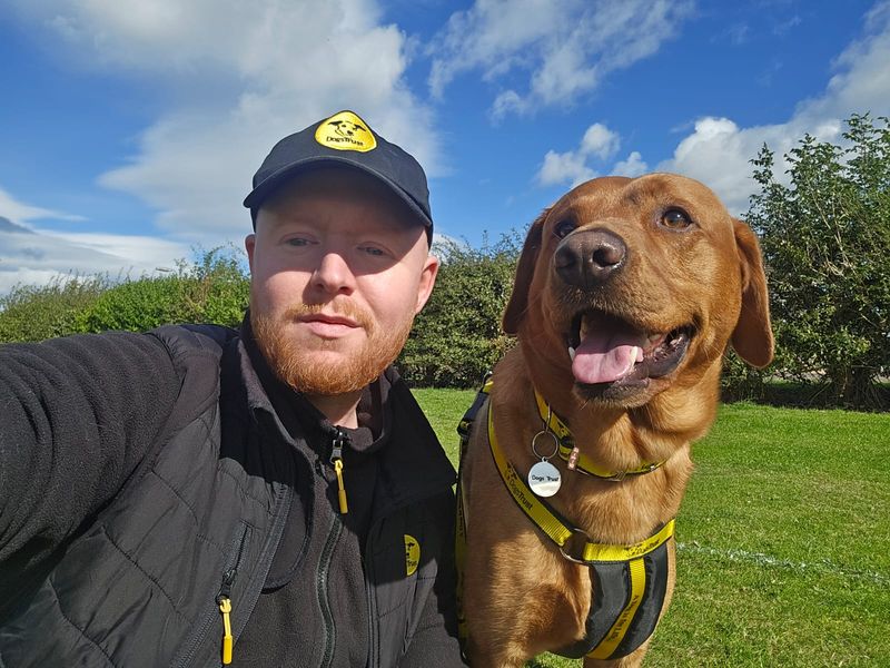 Alistair one of our Dundee Fostering Coordinators taking a selfie with a Red Labrador