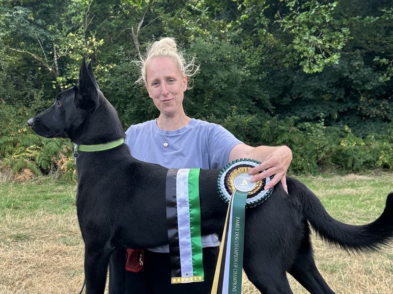 Ghost the black Belgian Malinois poses next to Gemma as he is awarded a rosette for heel-work.