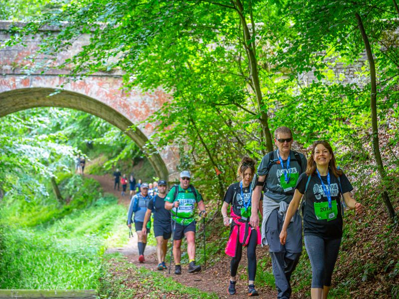 a line of people walking under a bridge in a forest