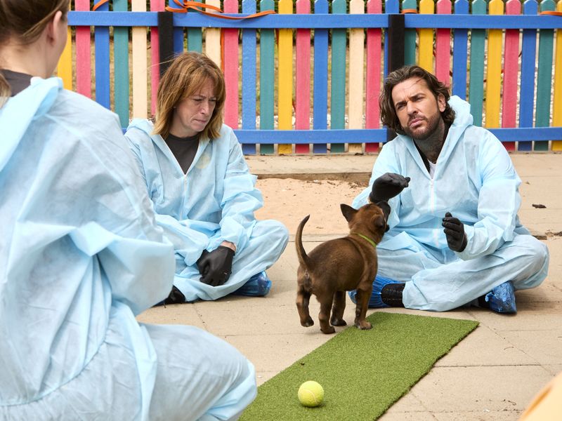 Pete wicks sitting down with basildon rehoming centre manager wearing a blue PPE outfit sitting on the floor with a brown puppy