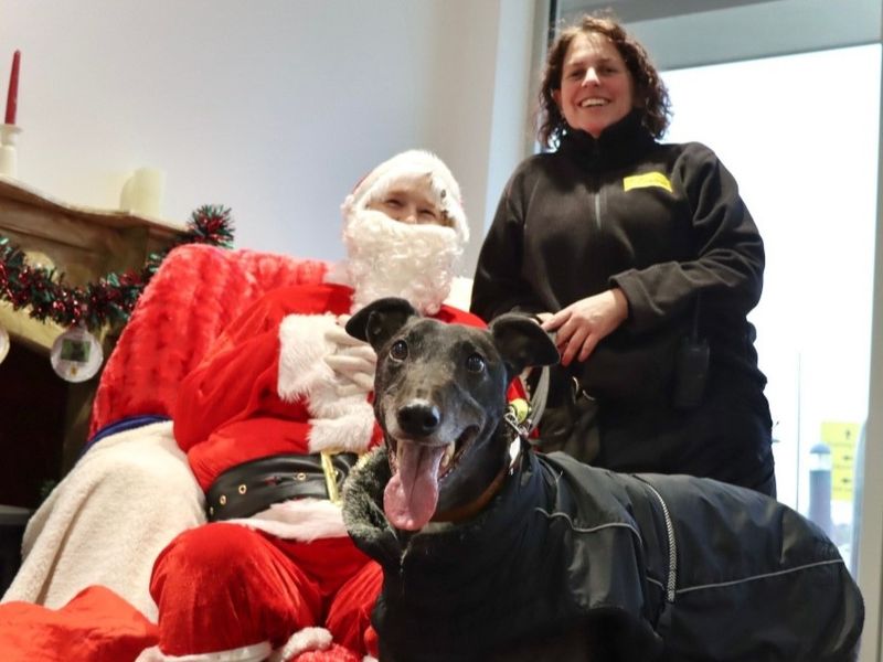 A black dog with Santa