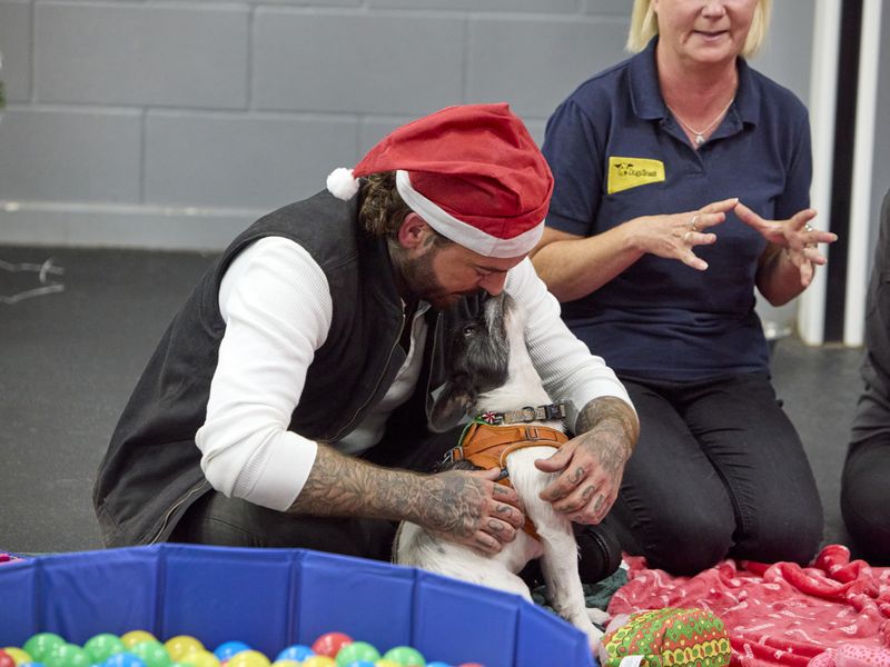 Pete Wickes sitting down wearing a red santa hat, hugging a small black and white dog in an orange harness, next to a staff member