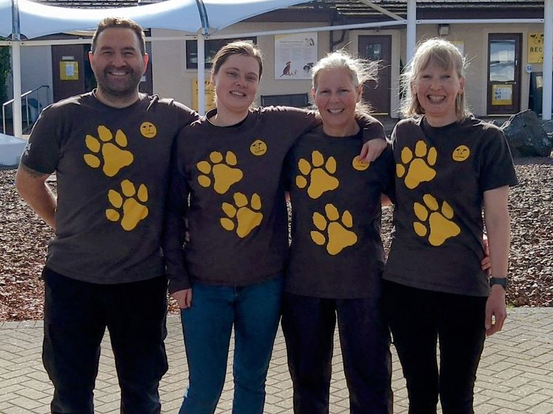 three ladies and one man hugging looking at the camera smiling, wearing grey tops with big yellow paw prints on them