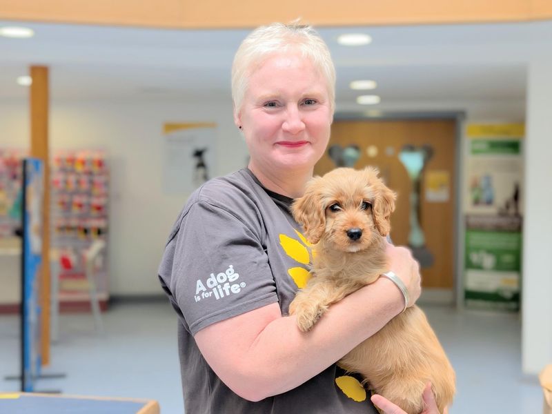 Alison a volunteer holding a puppy in her arms