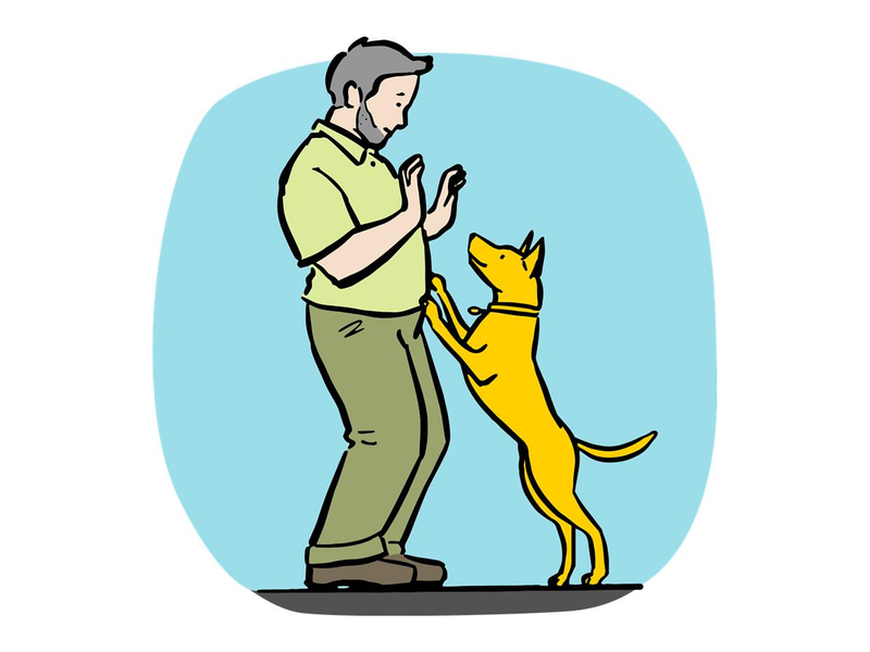 illustration of a yellow german shepherd jumping up on a old man