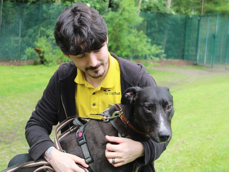 Sponsor dog Angus having a cuddle with his carer