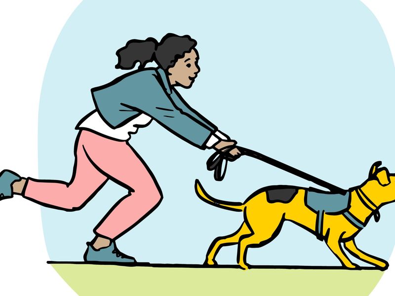 illustration of a women holding a dog on lead that is pulling her