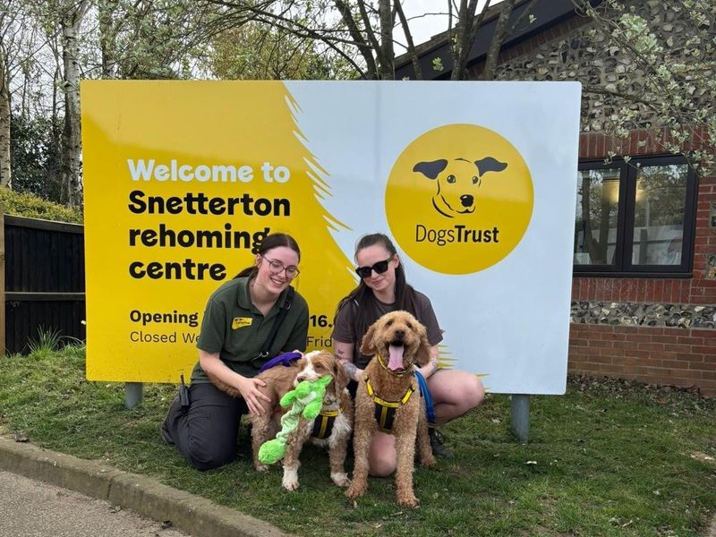 two lady canine carers sitting with two adult golden doodle dogs in front of the Snetterton rehoming centre welcome sign