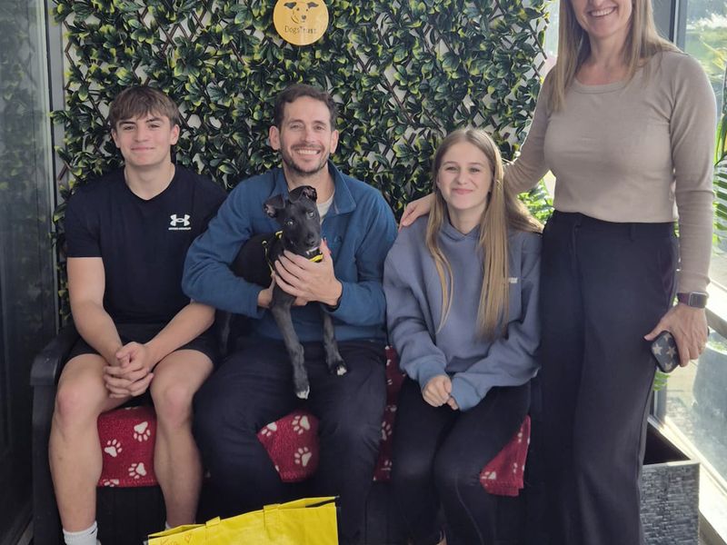 a dark grey lurcher sitting on a mans lap who's surrounded by his family on adoption day
