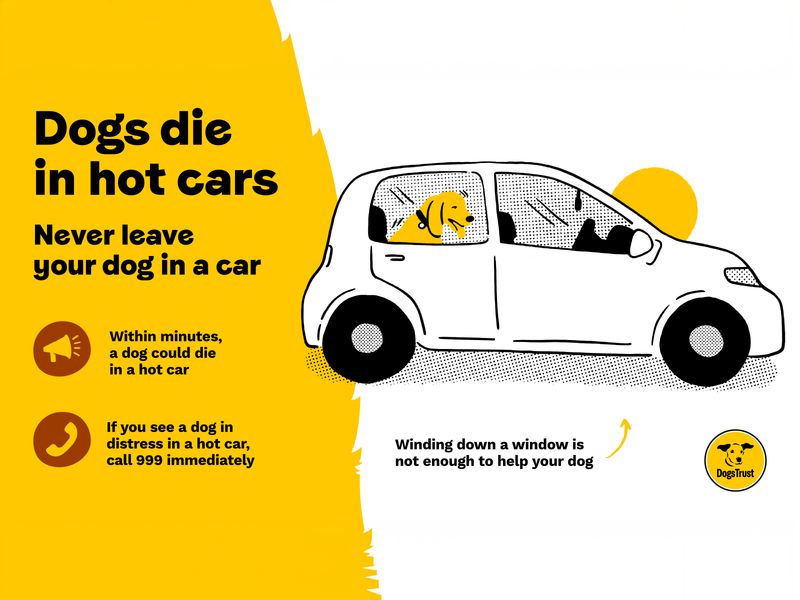 Infographic advising dog owners not to leave dogs in hot cars since it may be fatal