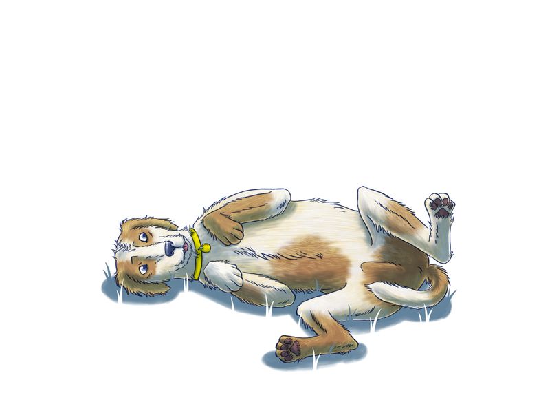 illustration of a dog exposing its belly on its side looking unsure