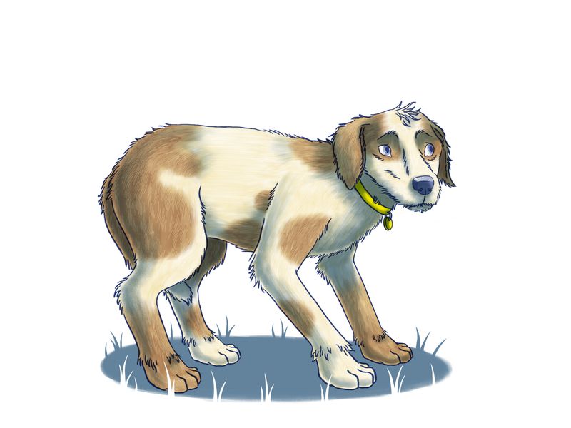 illustration of a dog cowering back in fear