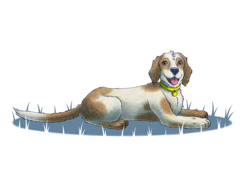 illustration of a dog laying down