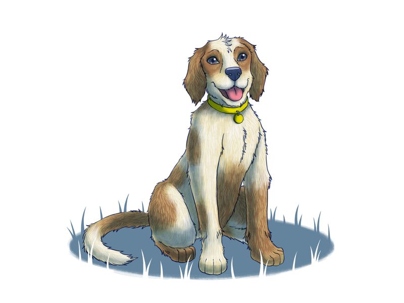 illustration of a dog sitting with bright eyes and mouth slightly open