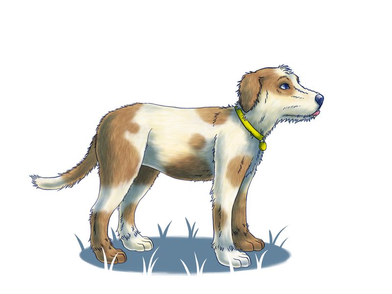 illustration of a dog standing looking away with a tense body