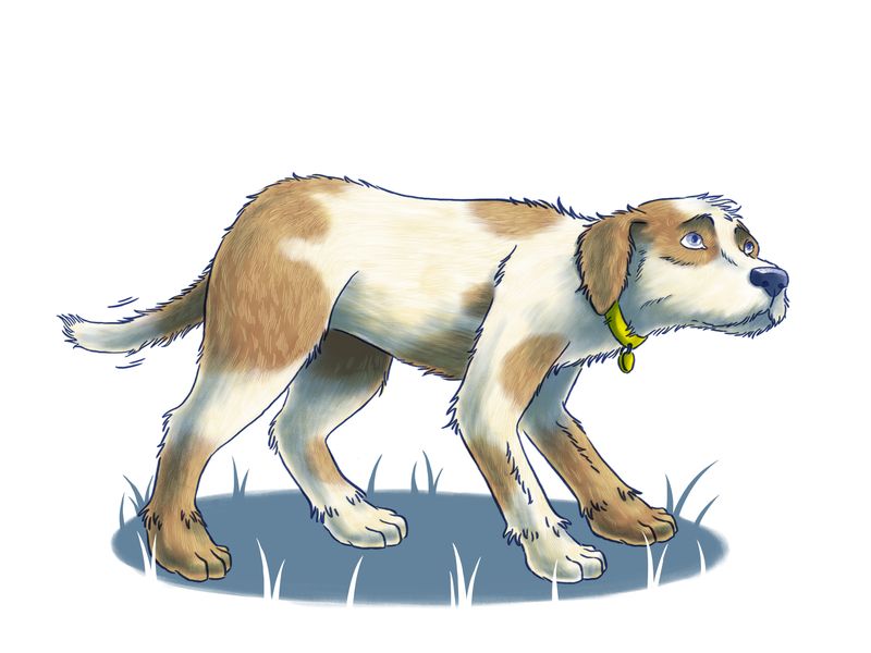 illustration of a dog hunched over and looking up unsure